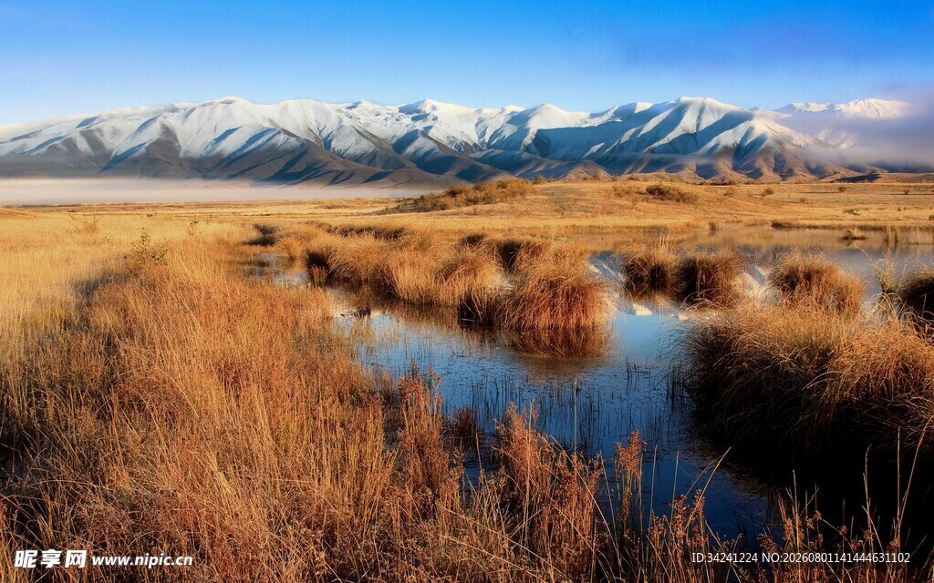 草原湿地与远处雪山美景