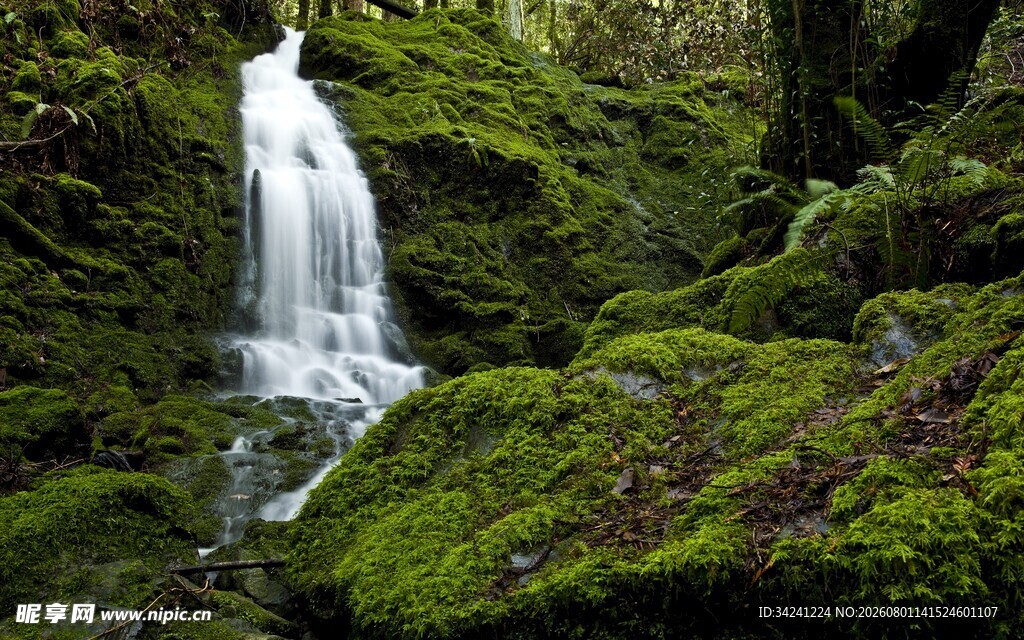山间苔藓瀑布美景
