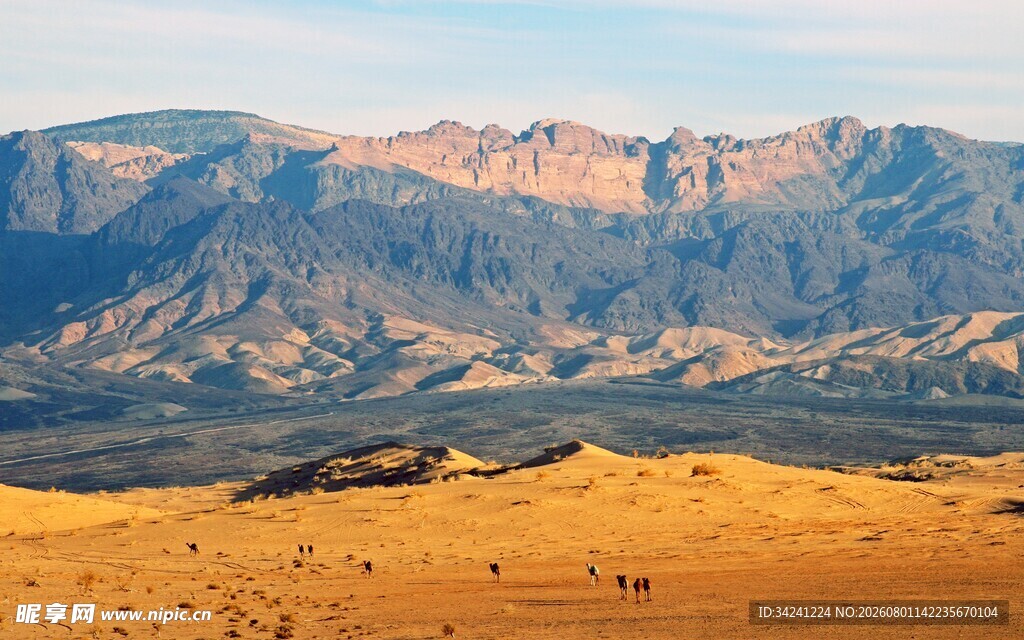 壮丽沙漠与远处山峦景观