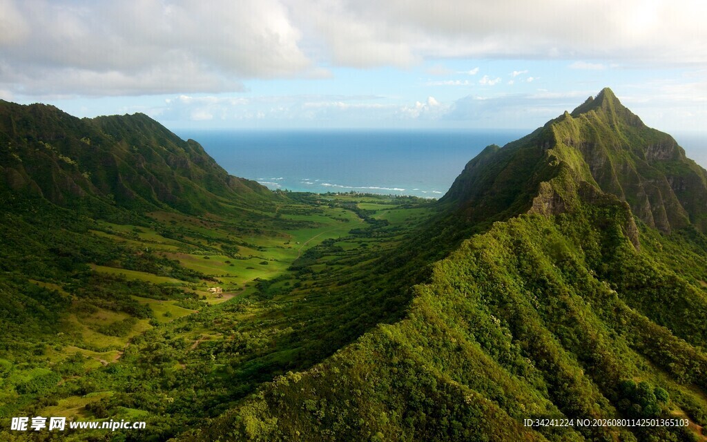 翠绿山峦与远方海景