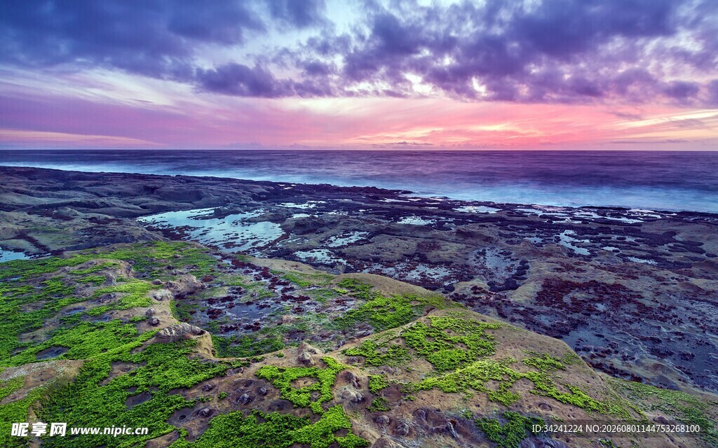 海边黄昏美景草地与海
