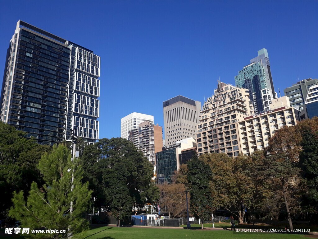 城市公园旁的现代建筑群