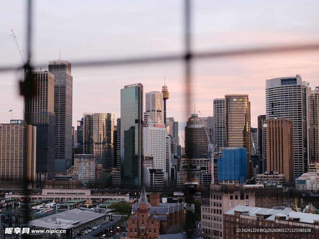 城市天际线透过网格景观