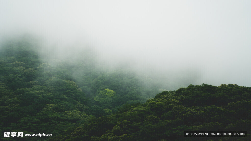 山间云雾缭绕的翠绿景致