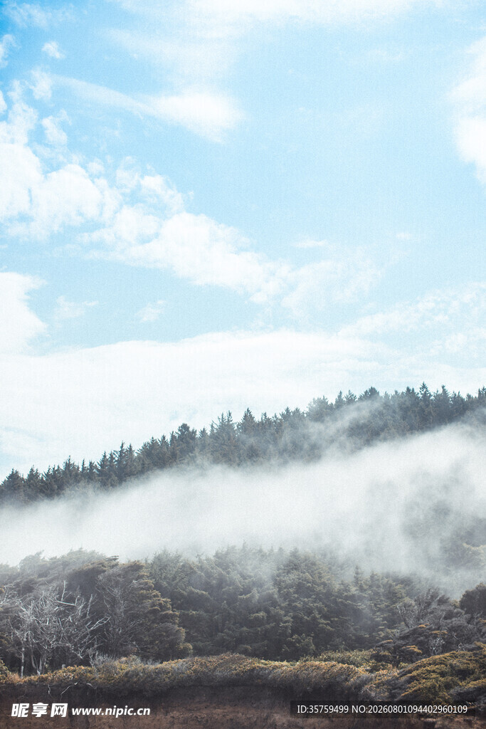 山间晨雾缭绕的美丽景致