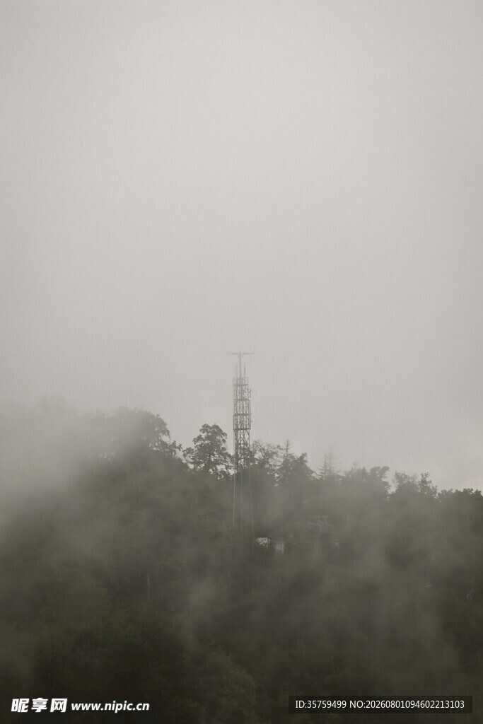 雾中朦胧山林景观
