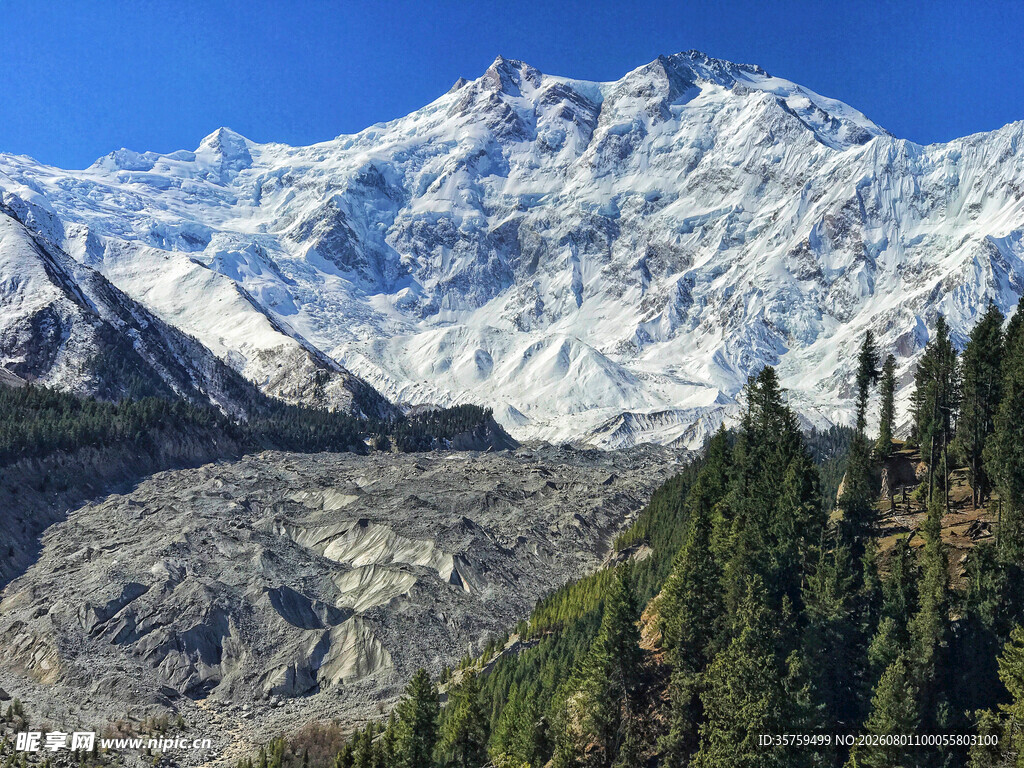 壮丽雪山下的葱郁森林
