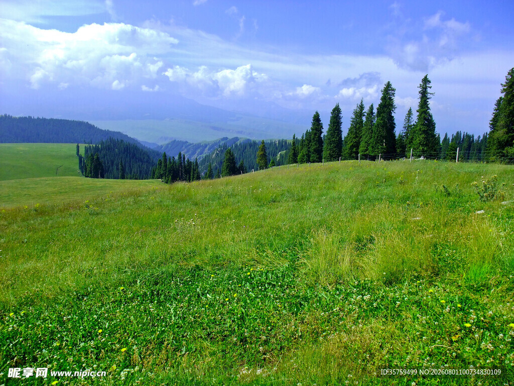 广袤草原与远处山林美景