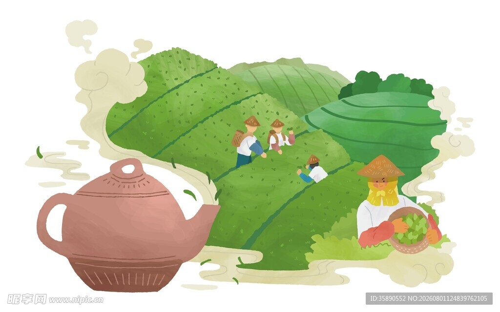 茶园采茶插画