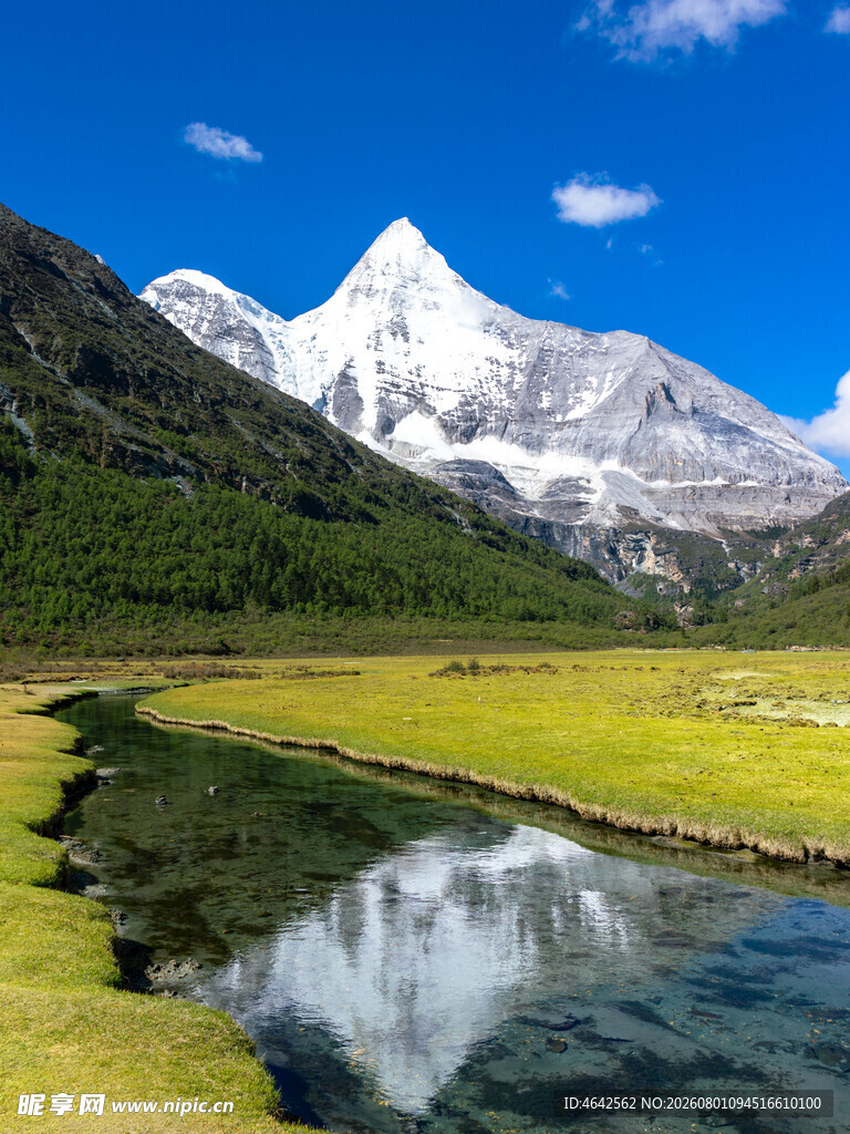雪山下的宁静草地与溪流