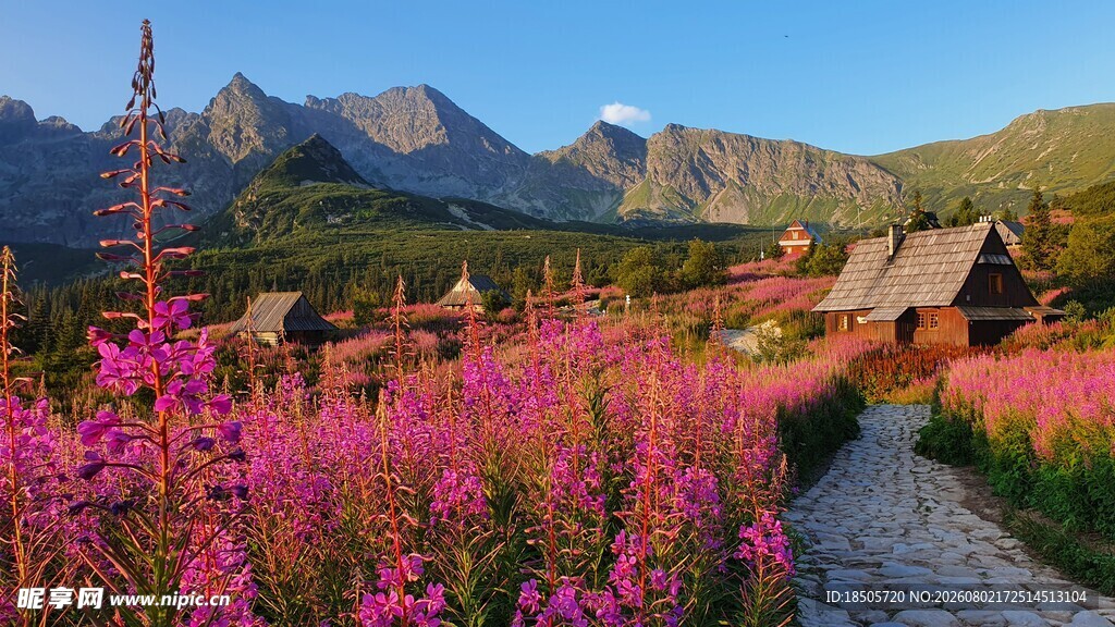 山间花海中的古朴小屋