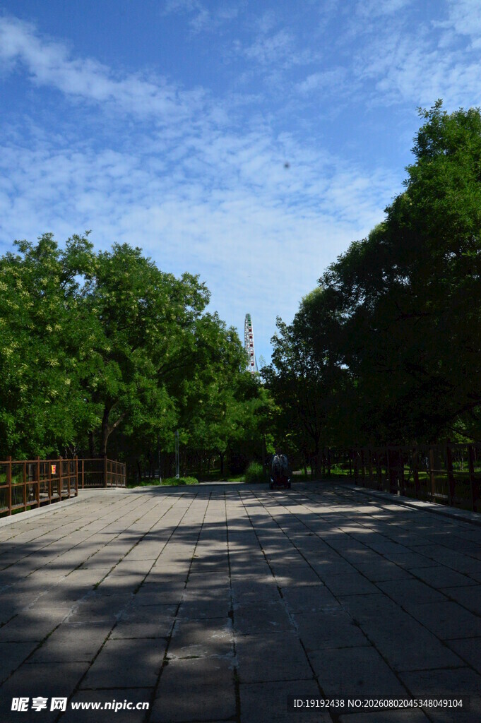 龙潭中湖风景  