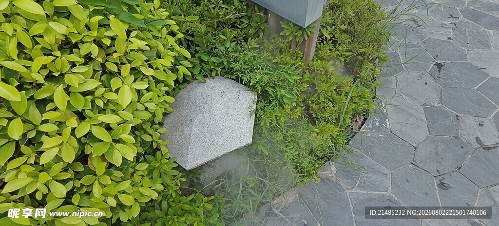 花园中的圆形石板与绿植