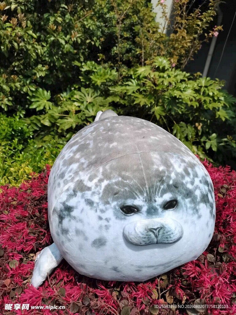 海豹抱枕