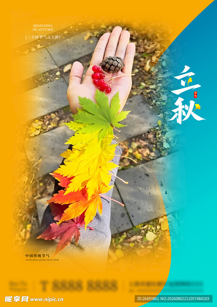 立秋海报