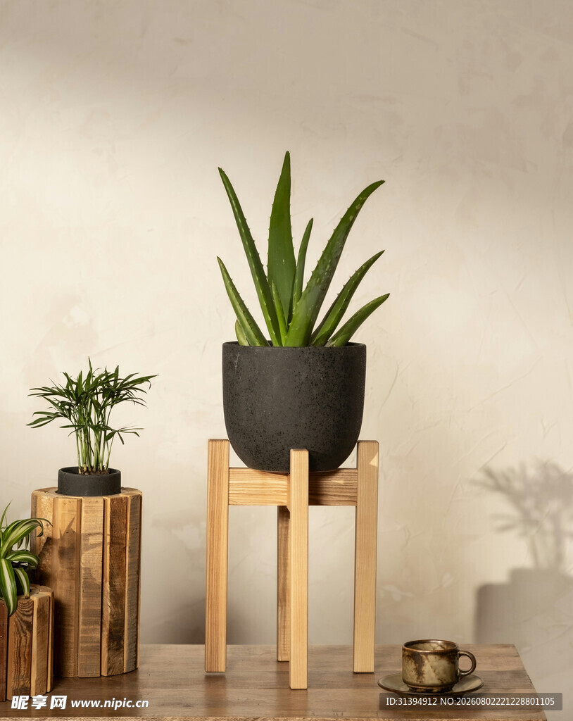 简约风室内绿植摆件组合