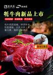 新鲜牛肉新品上市