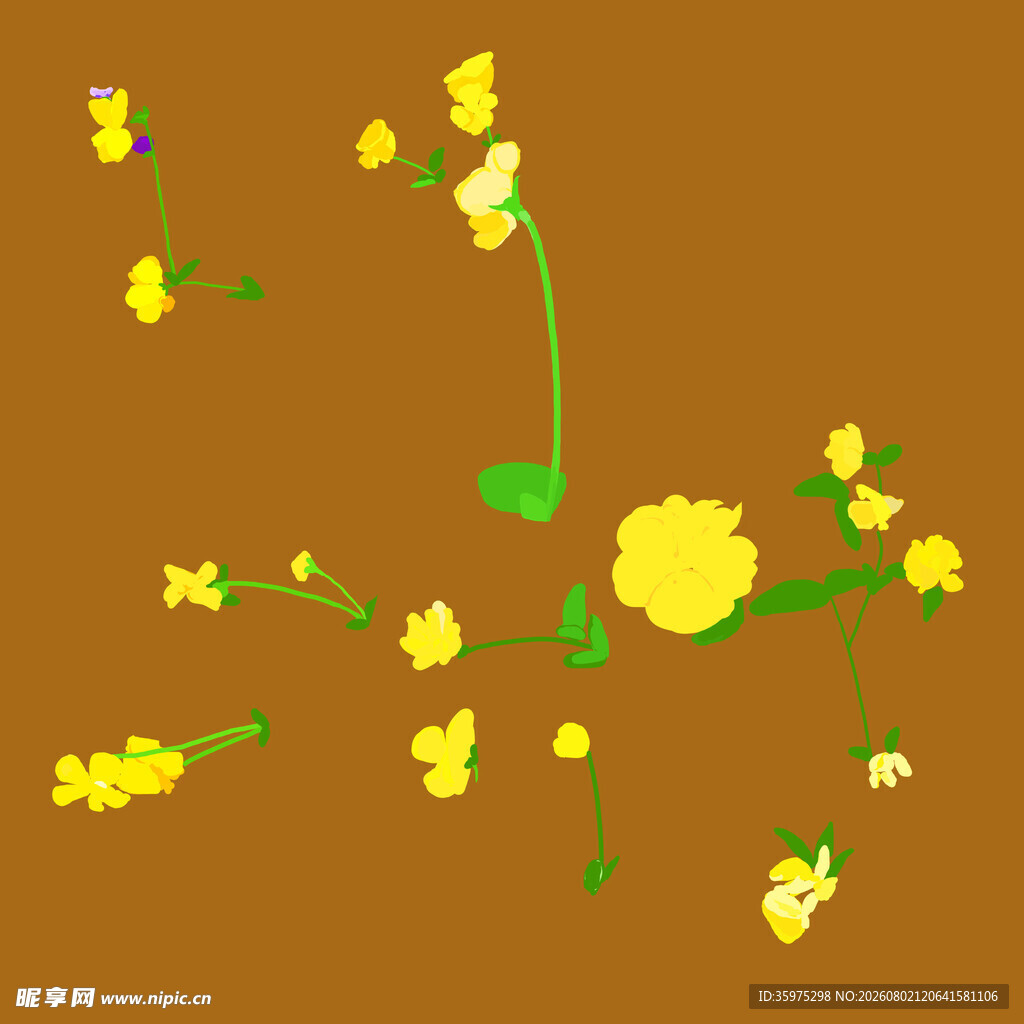 黄色的花朵背景图