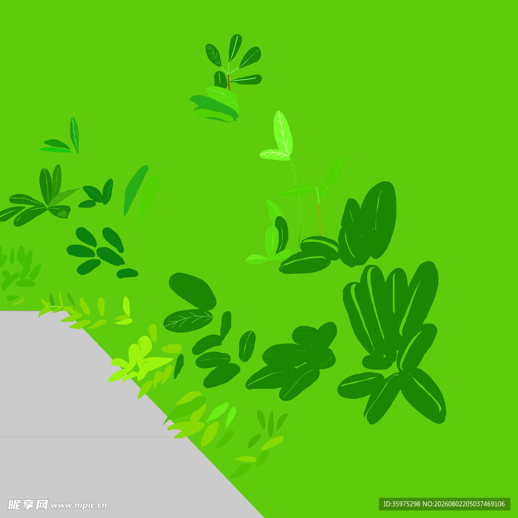 绿色植物插画