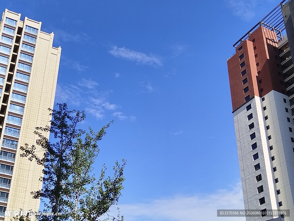 城市高楼与蓝天绿树景观