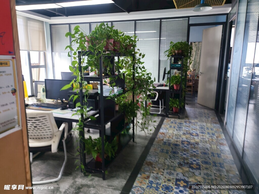 室内办公绿植装饰空间