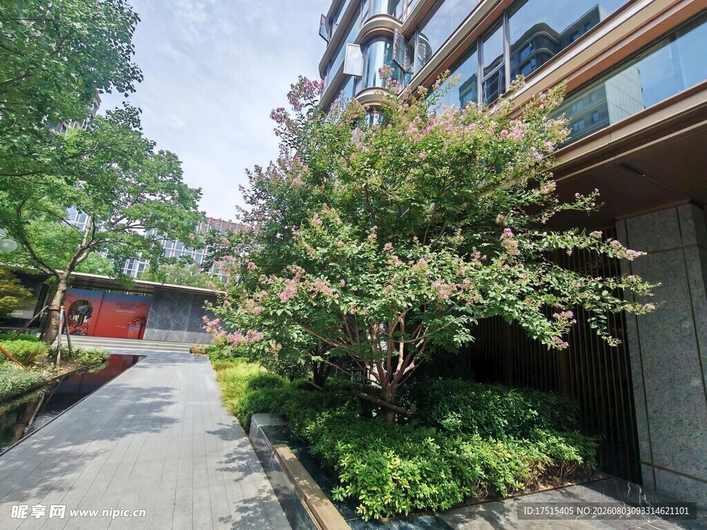 精致庭院住宅景观