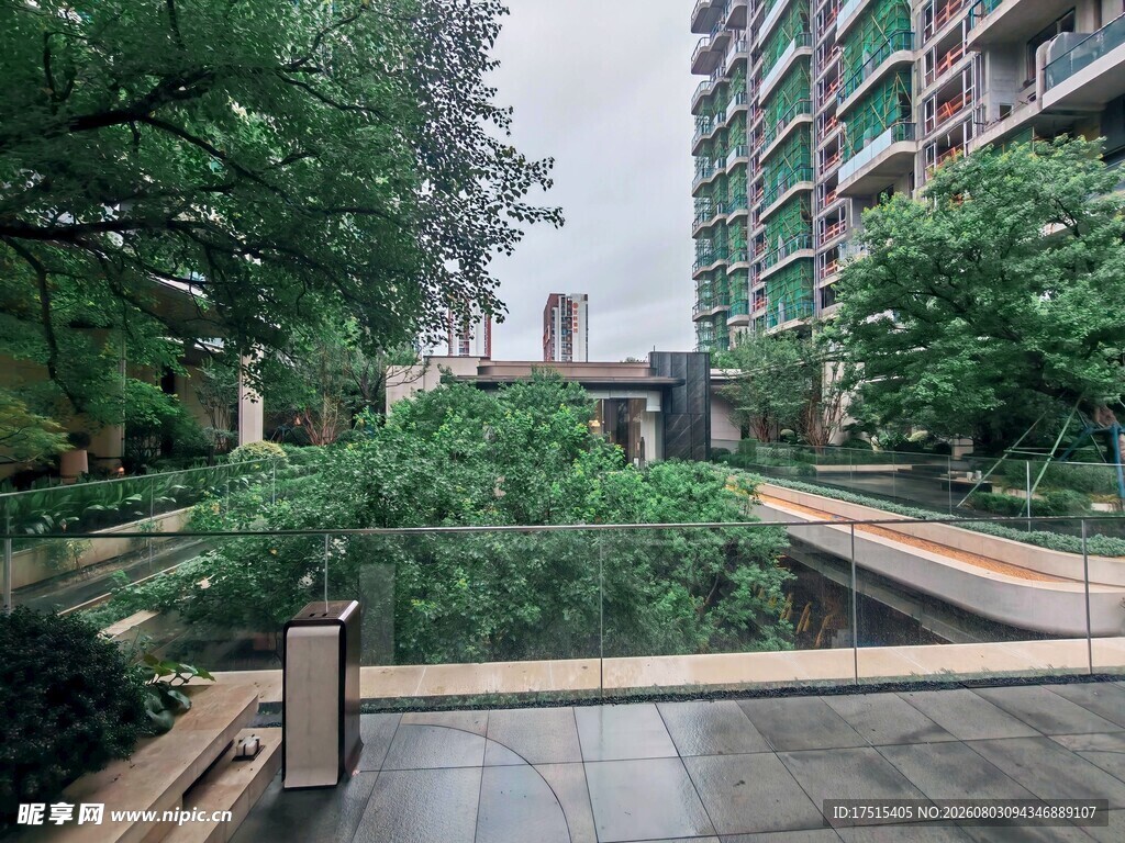 城市中静谧的绿植景观