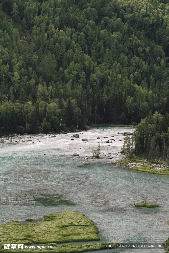 山间河流与葱郁植被景观