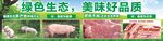 绿色生态猪肉美食海报