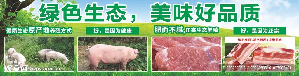 绿色生态猪肉美食海报