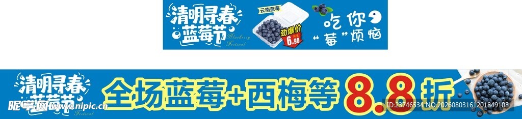 蓝莓节主题促销活动