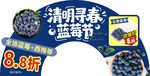 清明蓝莓特惠拱门