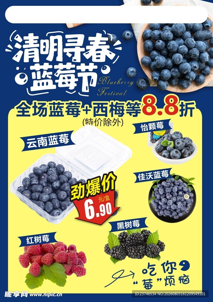 蓝莓节促销海报