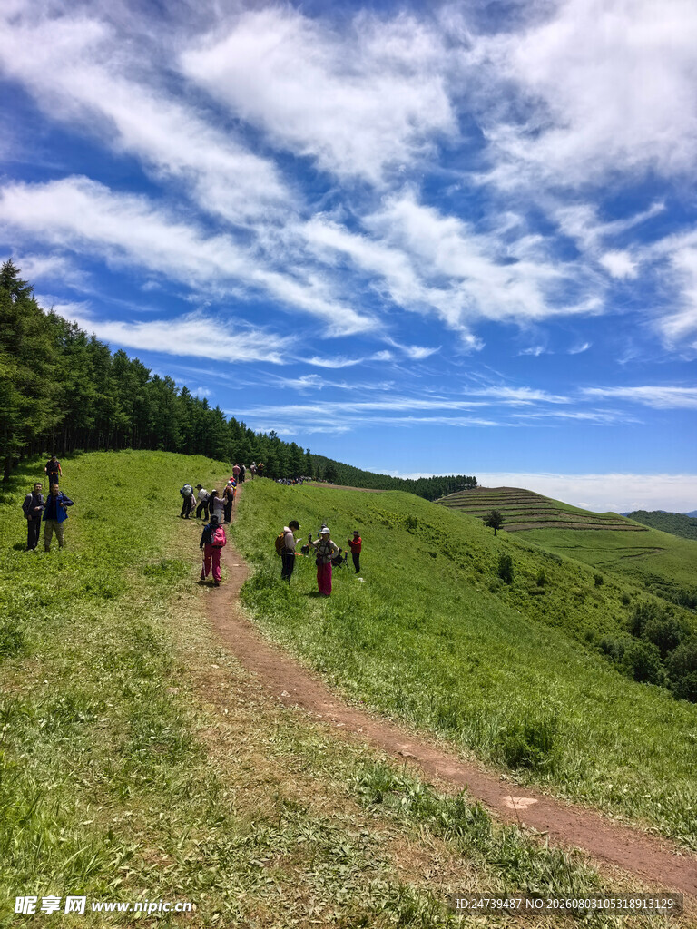 山间徒步队伍漫步绿野