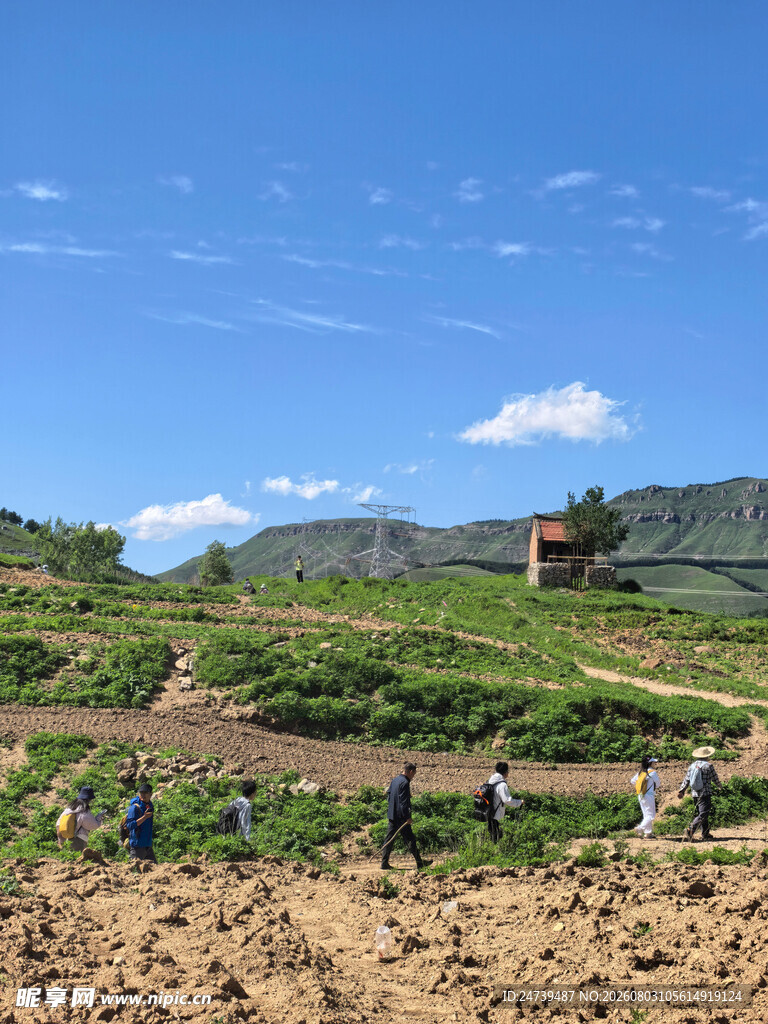 田野劳作场景