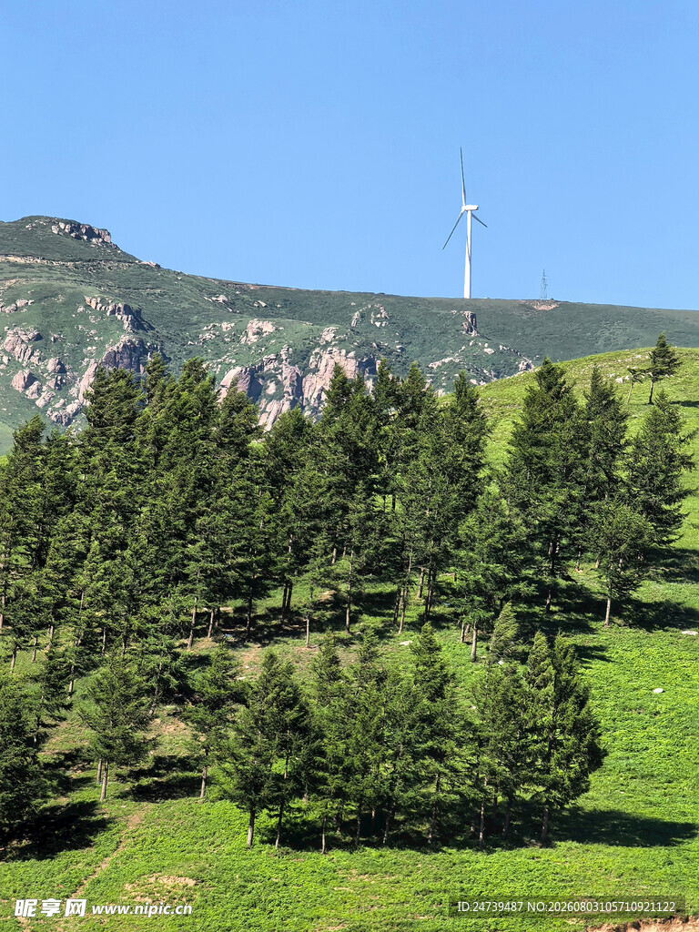 山间松林与远处风车景观