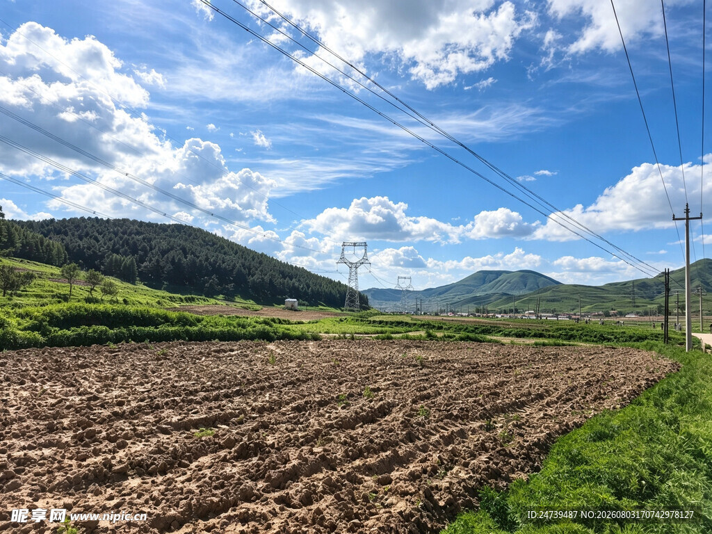 田野