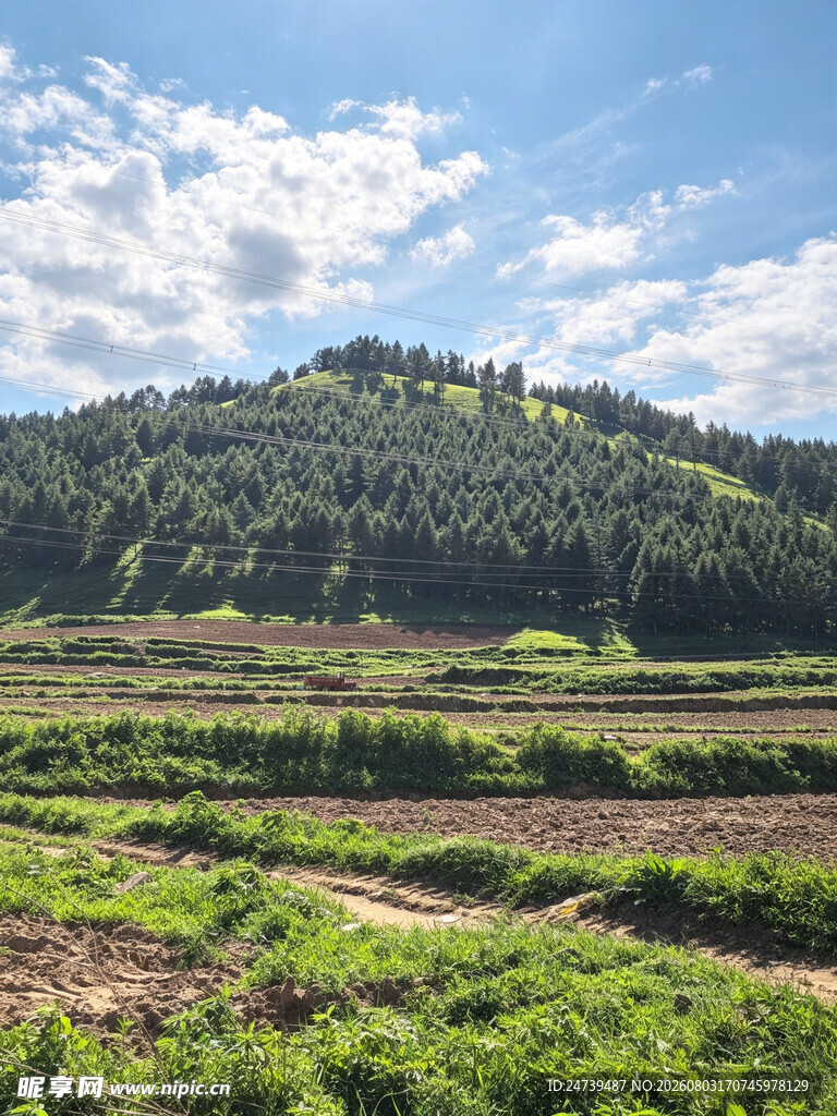 田园山野风光美景