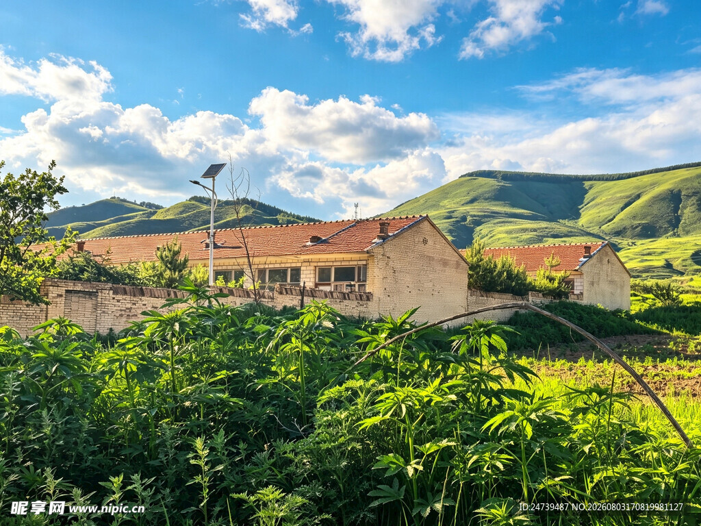 乡村美景绿植环绕的房屋