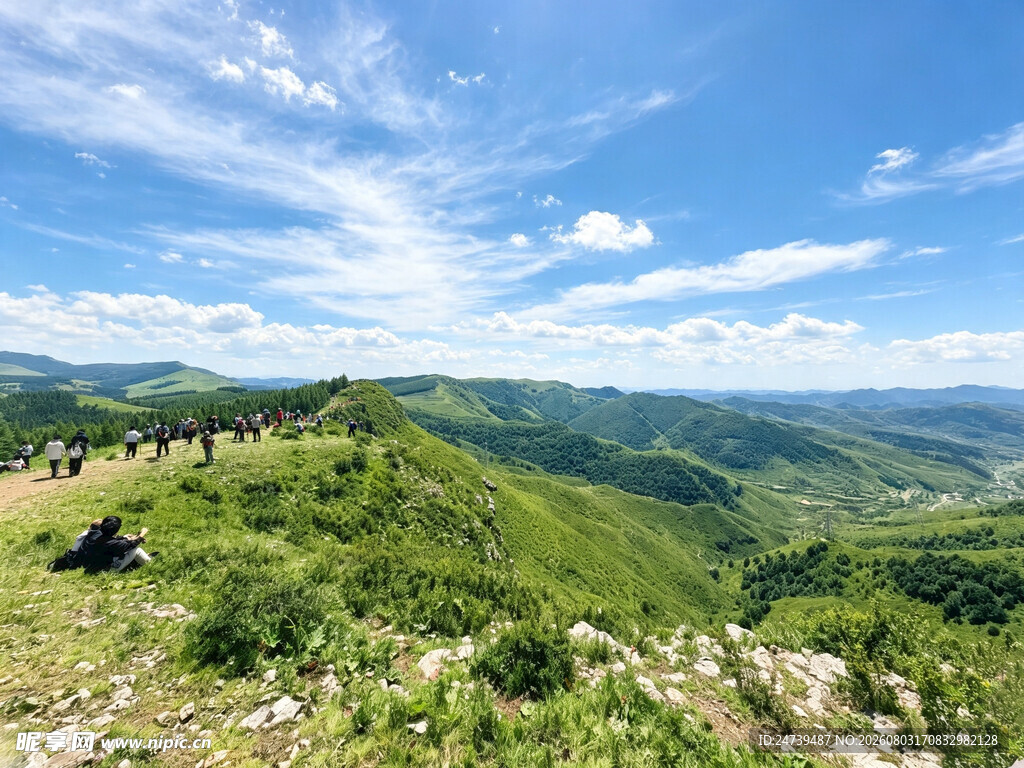 蔚县草原