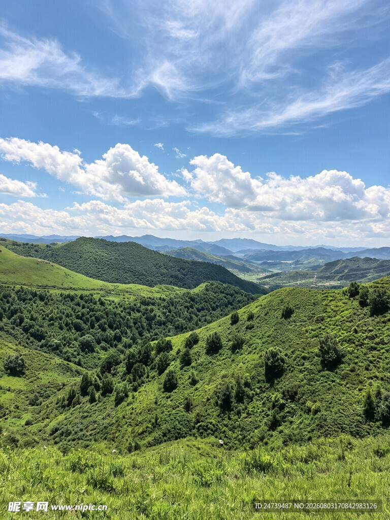 蔚县草原