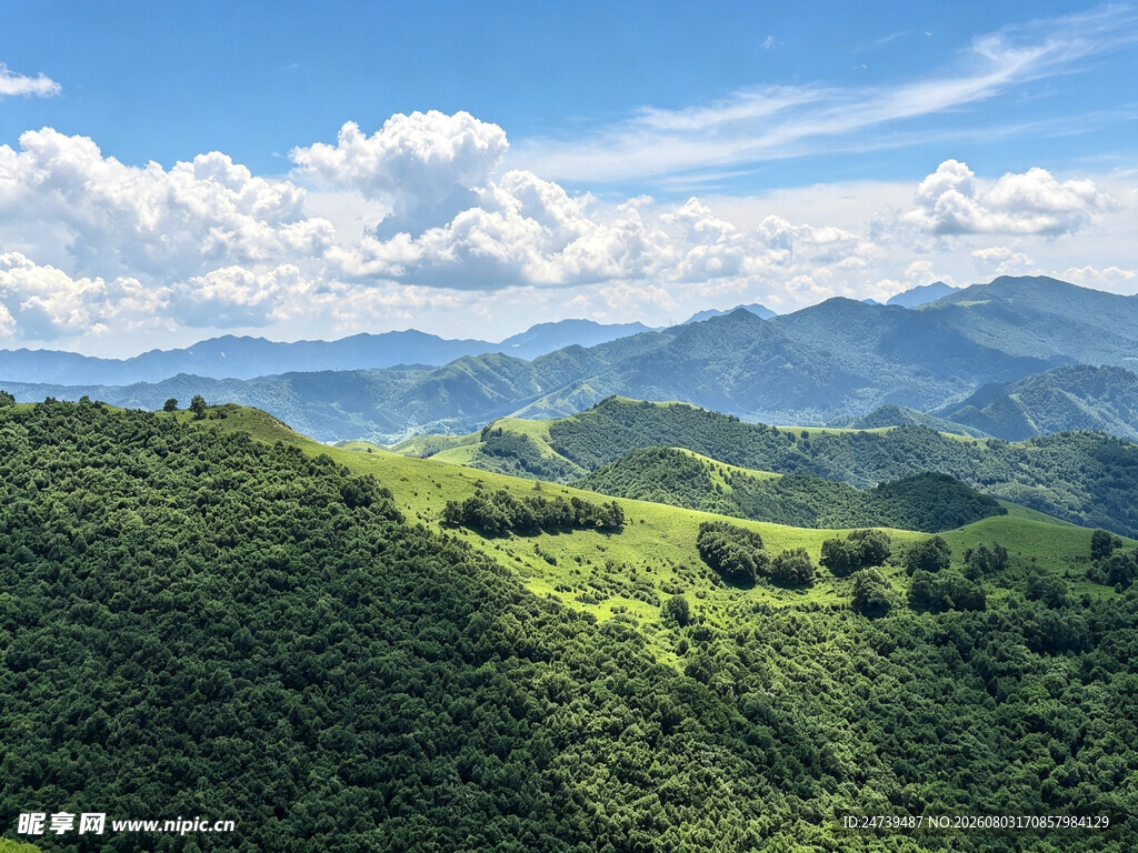 蔚县草原