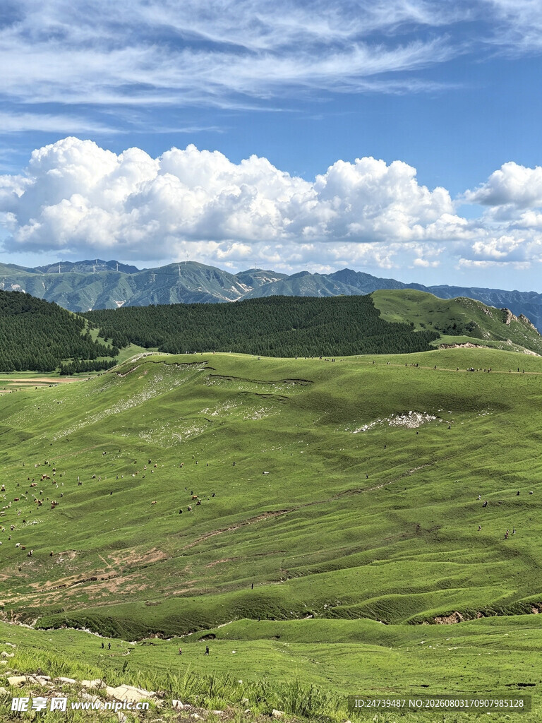 蔚县草原