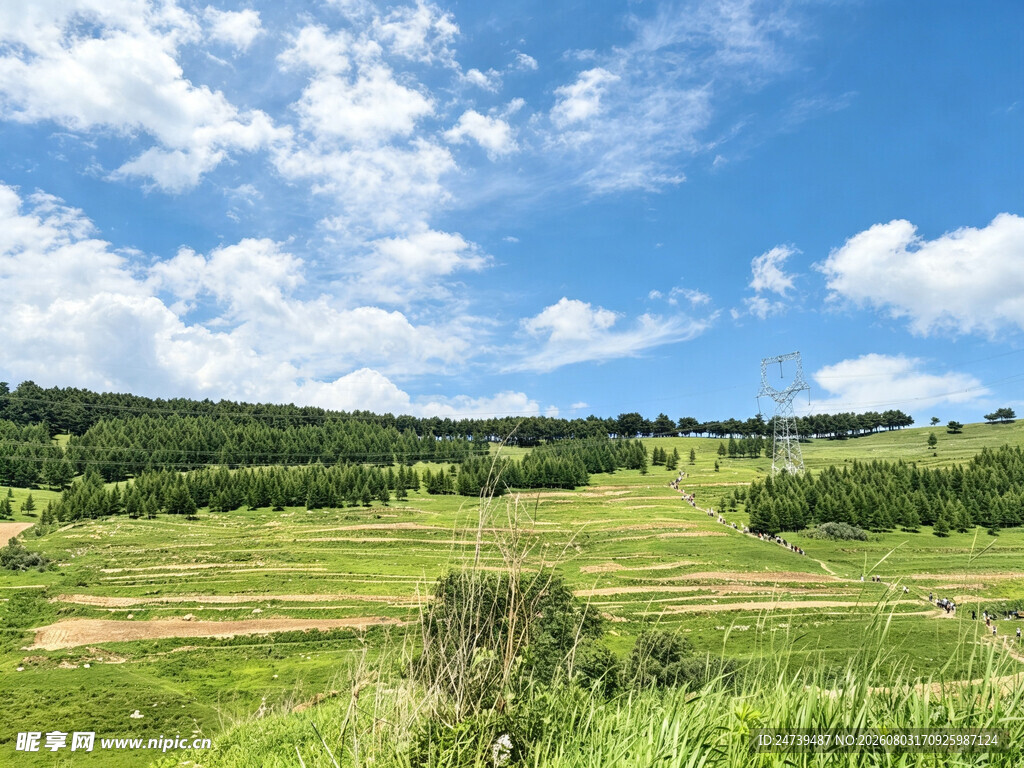 蔚县草原