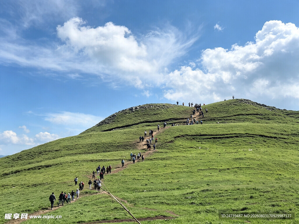 山坡上的徒步人群