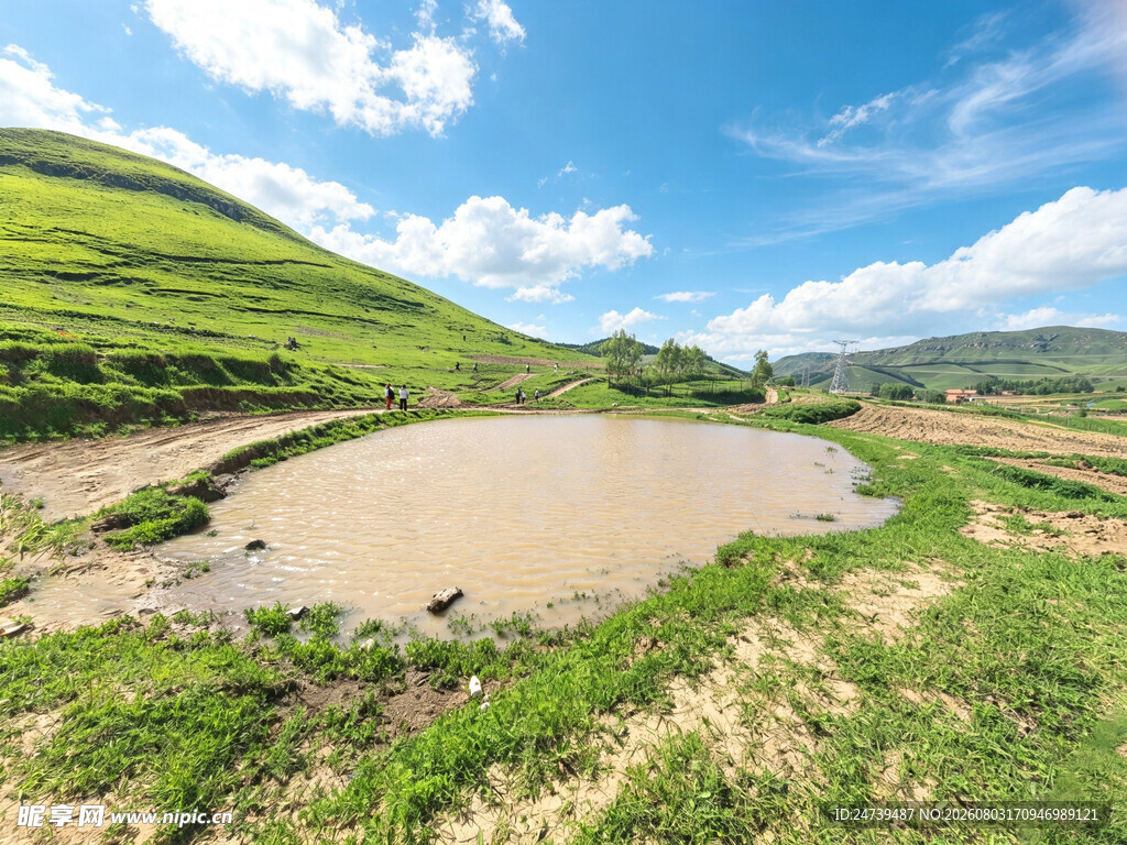 田园水田风光美景