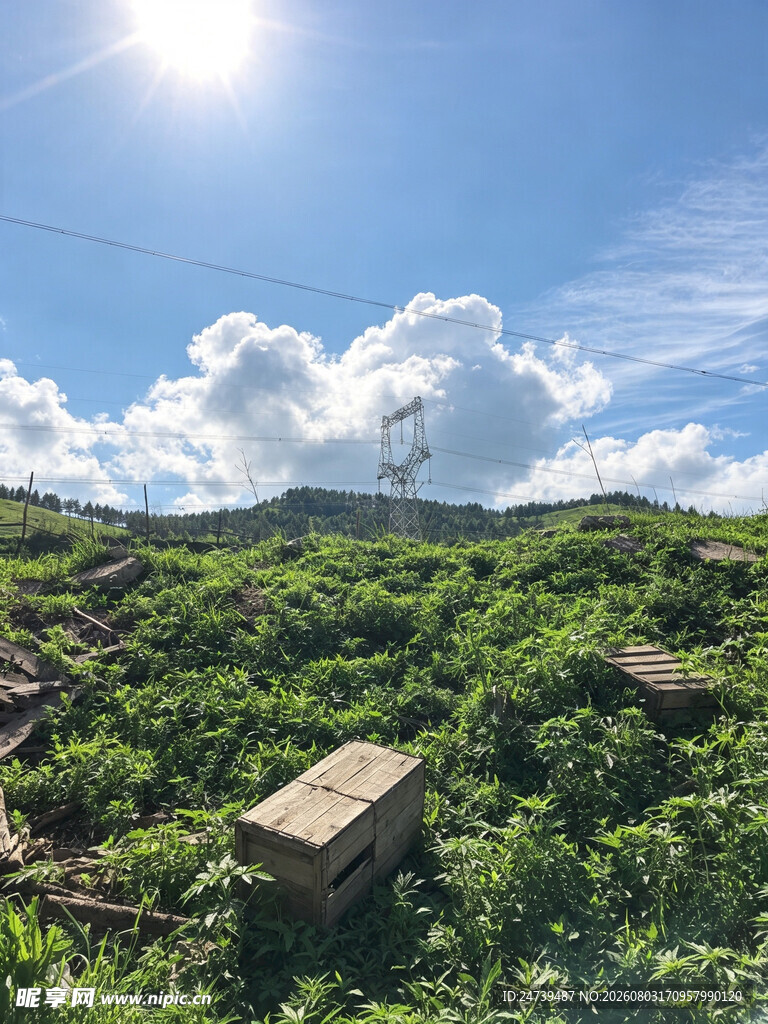 蔚县草原