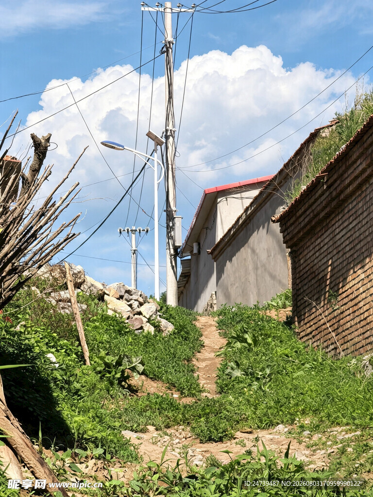 乡村小屋旁的质朴景象