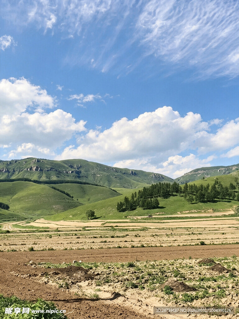 蔚县草原