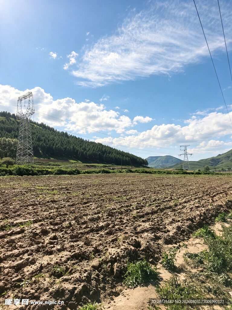 广袤田野